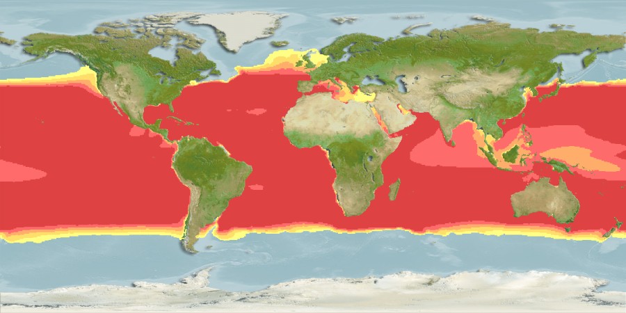 Aquamaps - Computer Generated Native Distribution Map for Ranzania laevis