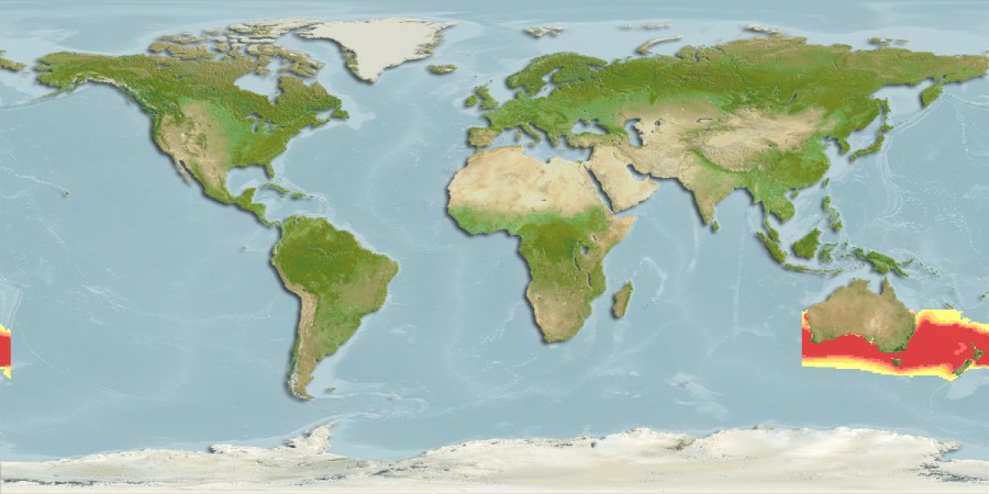 Aquamaps - Computer Generated Native Distribution Map for Trachurus novaezelandiae