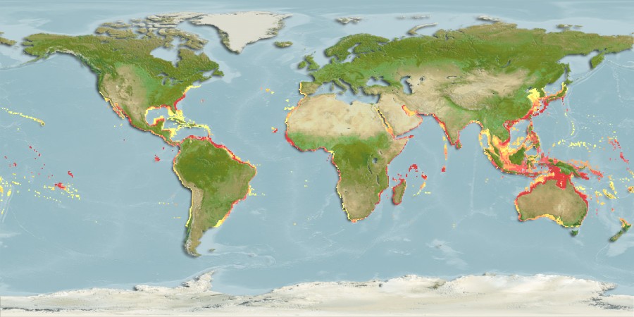Aquamaps - Computer Generated Native Distribution Map for Aluterus monoceros