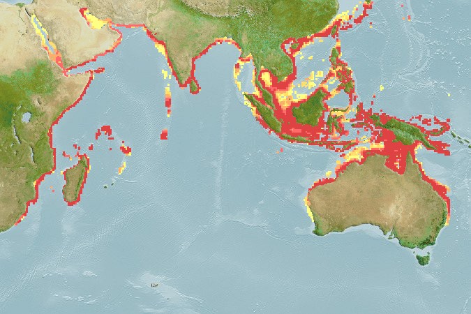 Aquamaps - Computer Generated Native Distribution Map for Pomadasys kaakan