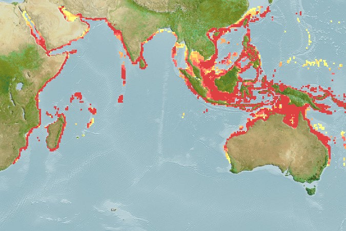 Aquamaps - Computer Generated Native Distribution Map for Plectorhinchus schotaf