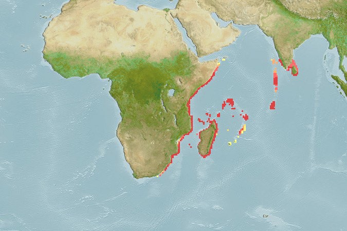 Aquamaps - Computer Generated Native Distribution Map for Thalassoma hebraicum