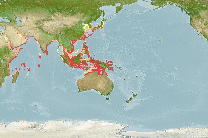 Aquamaps - Computer Generated Native Distribution Map for Anoxypristis cuspidata