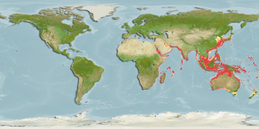 Aquamaps - Computer Generated Native Distribution Map for Plectorhinchus pictus