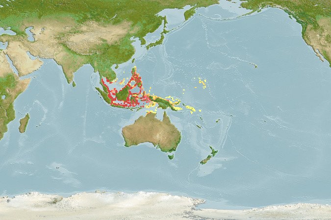 Aquamaps - Computer Generated Native Distribution Map for Choerodon oligacanthus