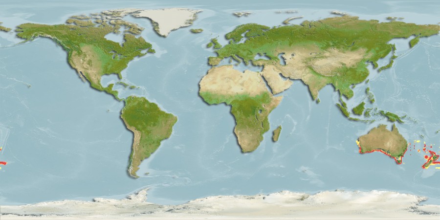 Aquamaps - Computer Generated Native Distribution Map for Rexea solandri