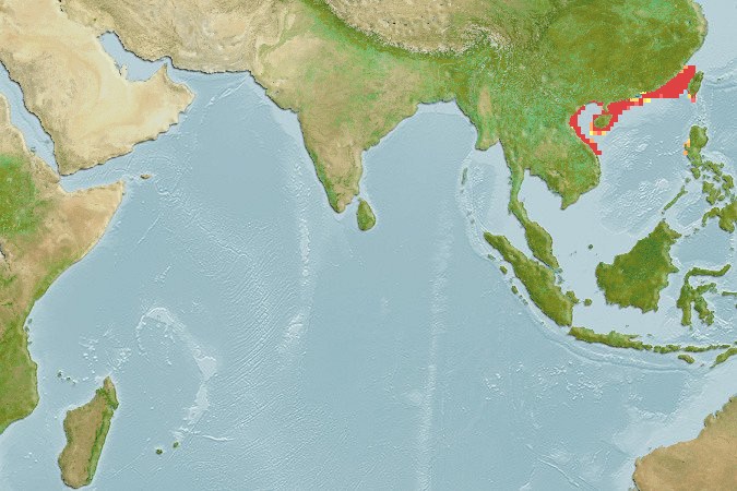 Aquamaps - Computer Generated Native Distribution Map for Platyrhina sinensis