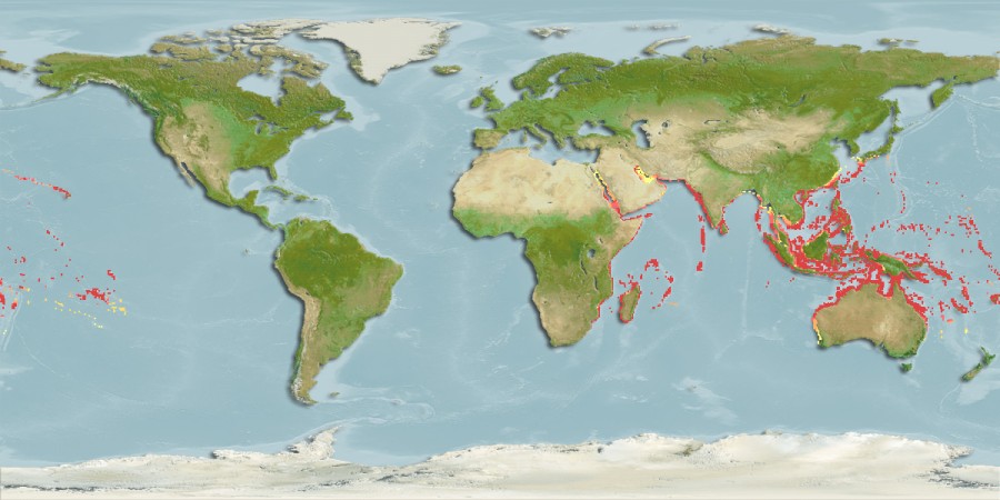 Aquamaps - Computer Generated Native Distribution Map for Halichoeres hortulanus