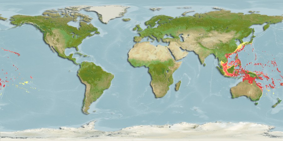 Aquamaps - Computer Generated Native Distribution Map for Bodianus loxozonus