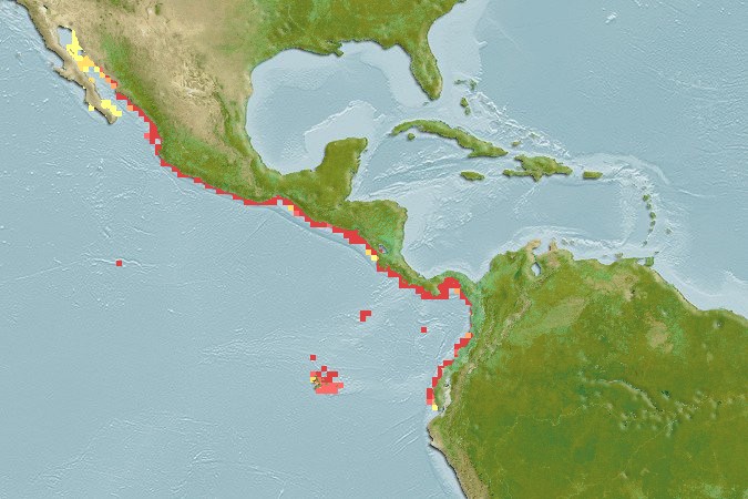 Aquamaps - Computer Generated Native Distribution Map for Bagre pinnimaculatus