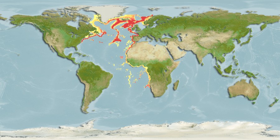 Aquamaps - Computer Generated Native Distribution Map for Aphanopus carbo