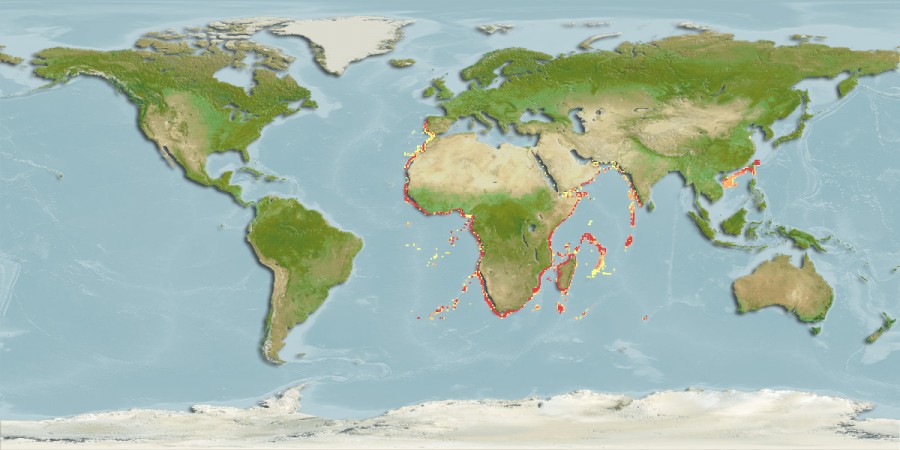 Aquamaps - Computer Generated Native Distribution Map for Centrophorus lusitanicus