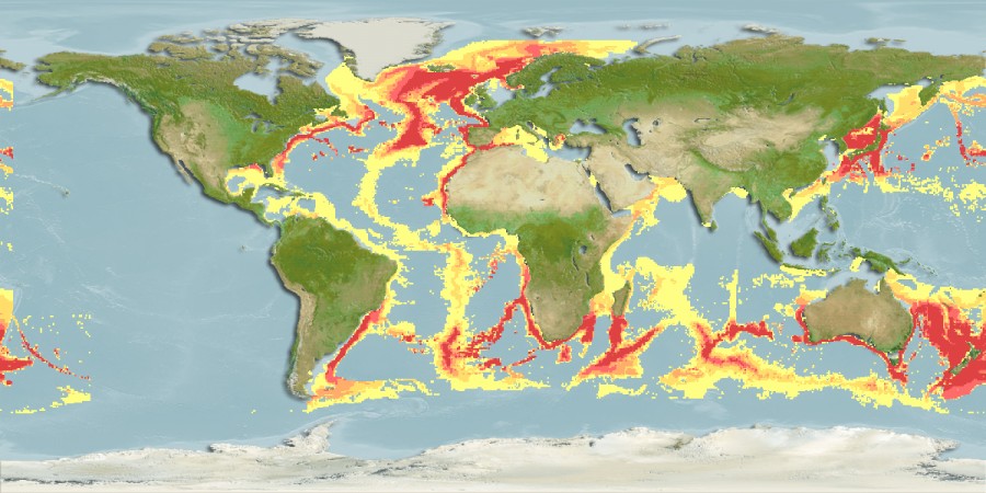 Aquamaps - Computer Generated Native Distribution Map for Centroscymnus coelolepis