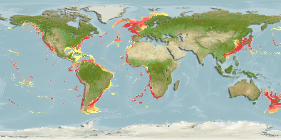 Aquamaps - Computer Generated Native Distribution Map for Chlamydoselachus anguineus