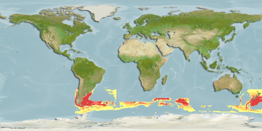 Aquamaps - Computer Generated Native Distribution Map for Dissostichus eleginoides