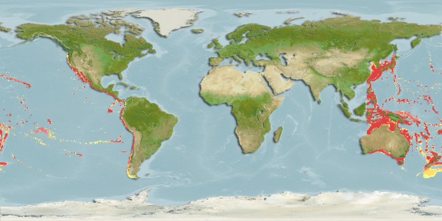 Aquamaps - Computer Generated Native Distribution Map for Echinorhinus cookei