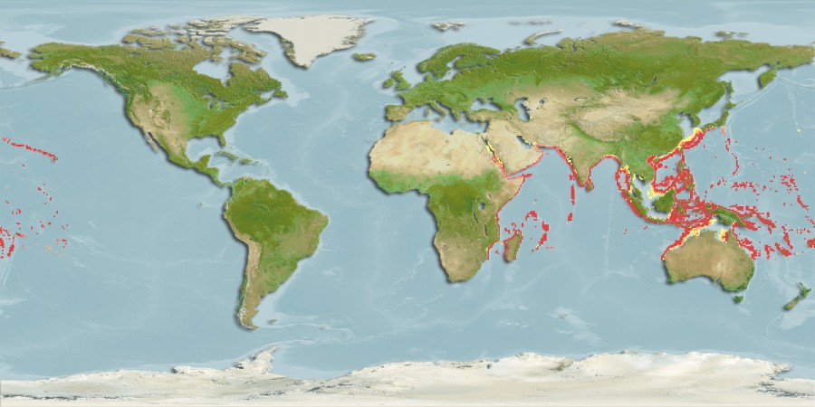 Aquamaps - Computer Generated Native Distribution Map for Etelis carbunculus