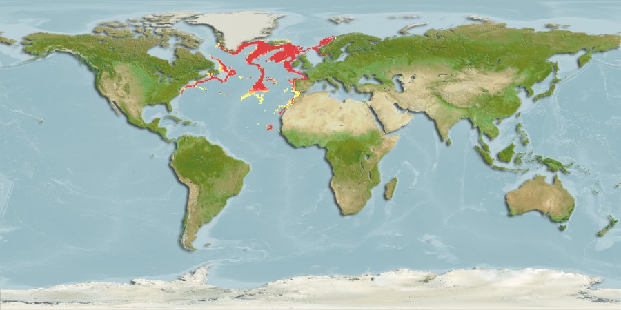 Aquamaps - Computer Generated Native Distribution Map for Etmopterus princeps