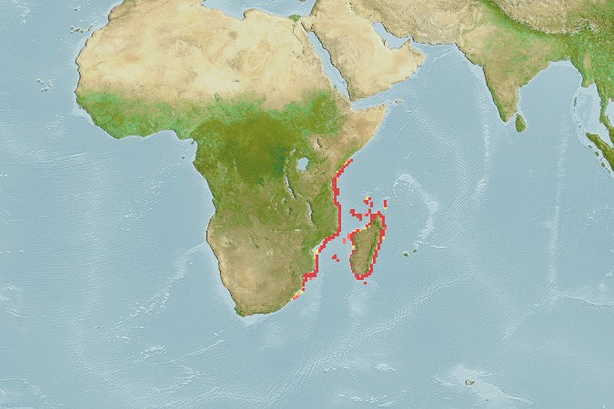 Aquamaps - Computer Generated Native Distribution Map for Etmopterus sentosus