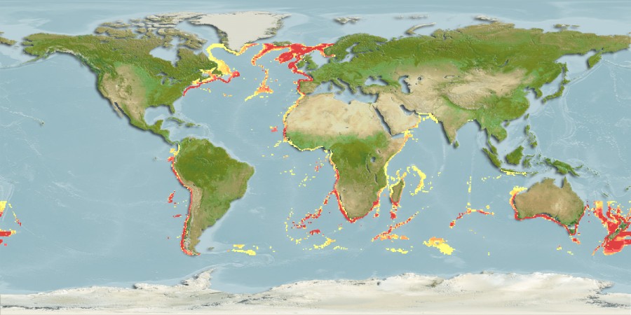 Aquamaps - Computer Generated Native Distribution Map for Hoplostethus atlanticus