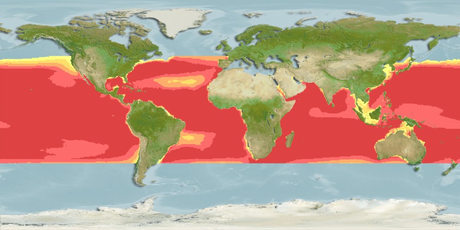 Aquamaps - Computer Generated Native Distribution Map for Isurus paucus