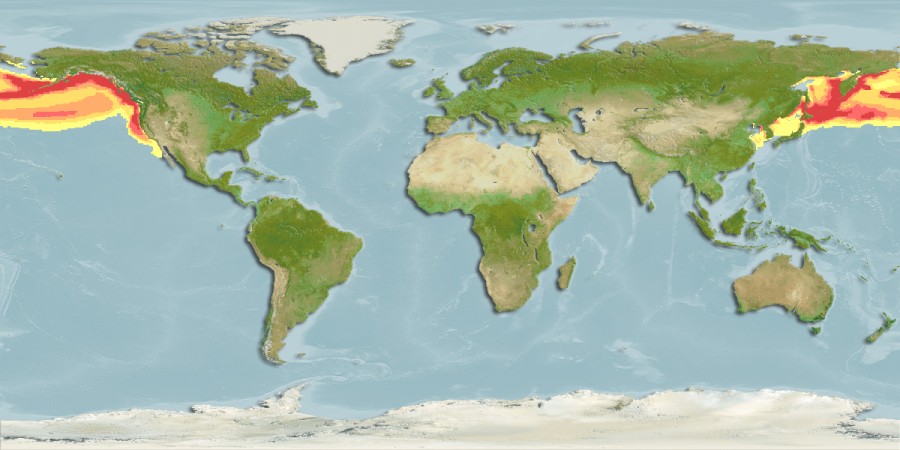 Aquamaps - Computer Generated Native Distribution Map for Lamna ditropis