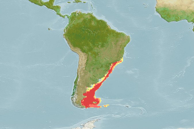 Aquamaps - Computer Generated Native Distribution Map for Merluccius hubbsi