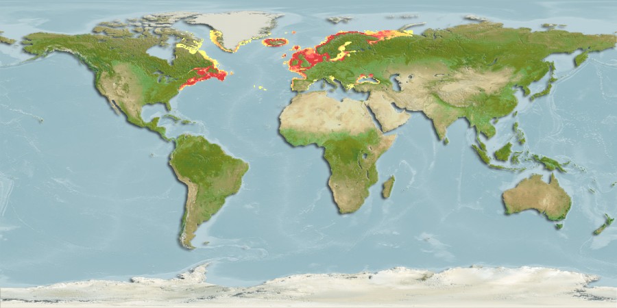 Aquamaps - Computer Generated Native Distribution Map for Salmo salar