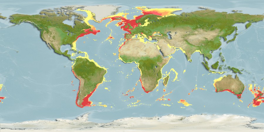 Aquamaps - Computer Generated Native Distribution Map for Squalus acanthias
