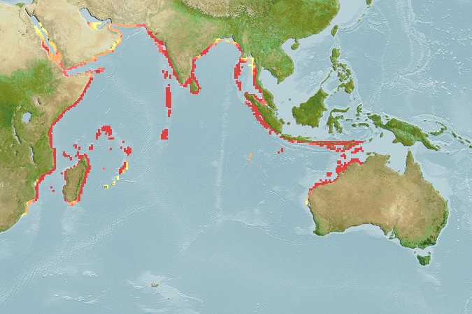 Aquamaps - Computer Generated Native Distribution Map for Acanthurus leucosternon