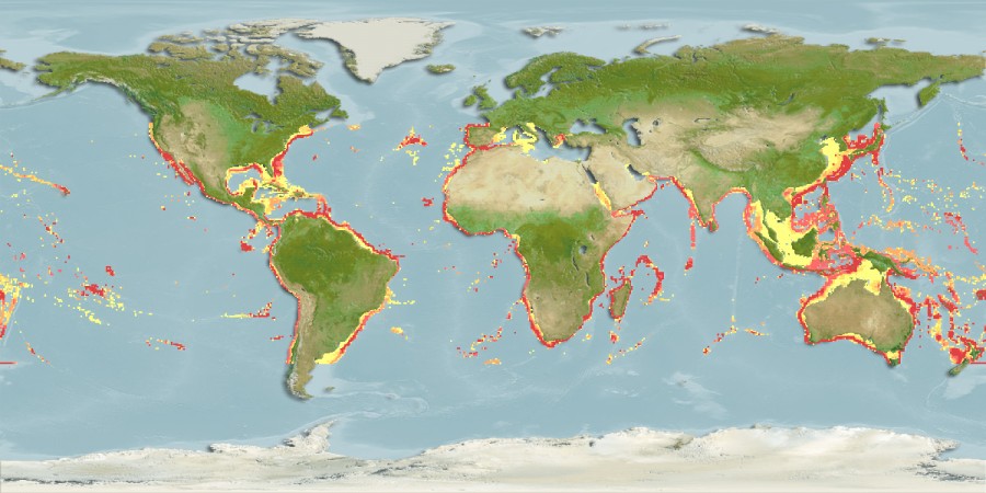 Aquamaps - Computer Generated Native Distribution Map for Beryx splendens