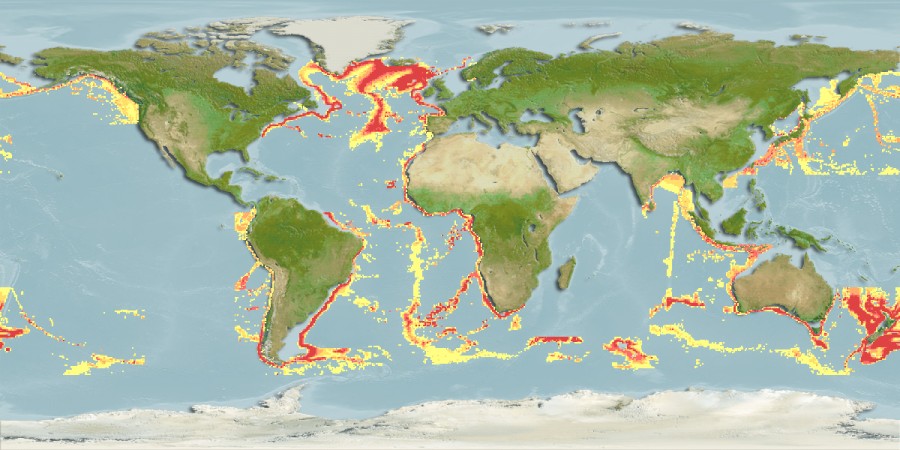 Aquamaps - Computer Generated Native Distribution Map for Halargyreus johnsonii