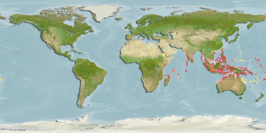 Aquamaps - Computer Generated Native Distribution Map for Lethrinus erythropterus