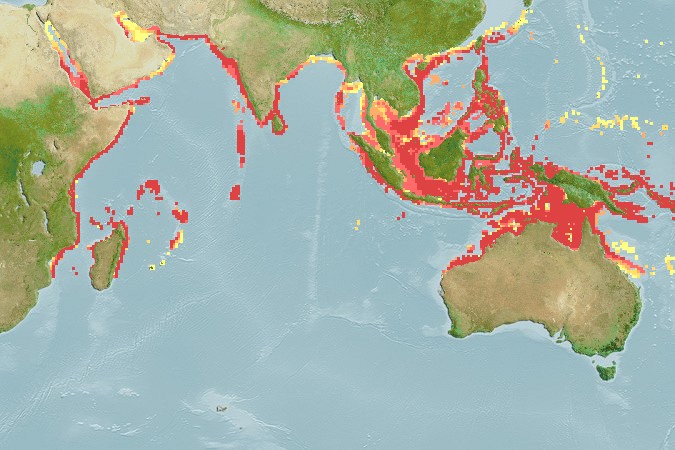 Aquamaps - Computer Generated Native Distribution Map for Lethrinus microdon