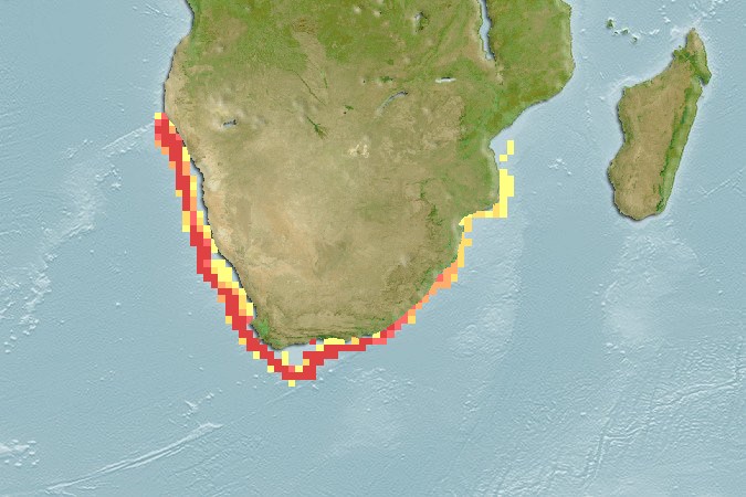 Aquamaps - Computer Generated Native Distribution Map for Merluccius paradoxus