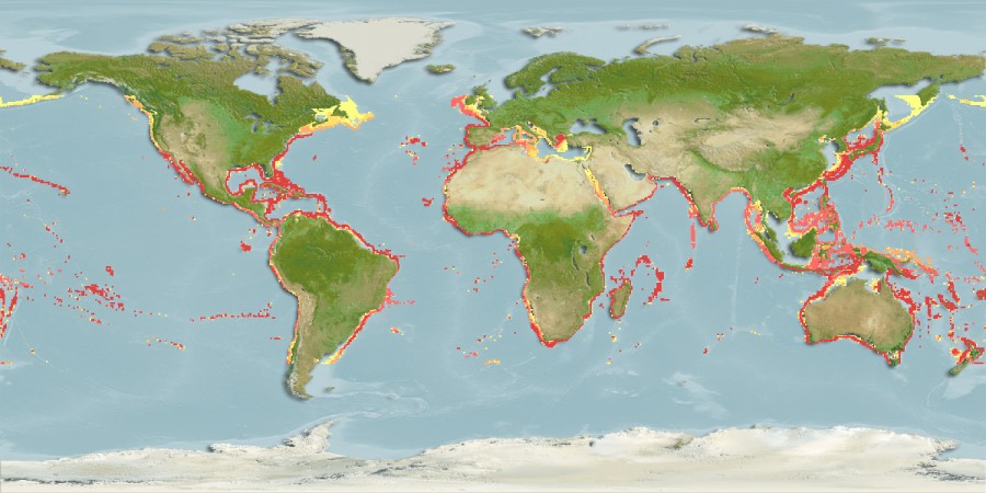 Aquamaps - Computer Generated Native Distribution Map for Ruvettus pretiosus