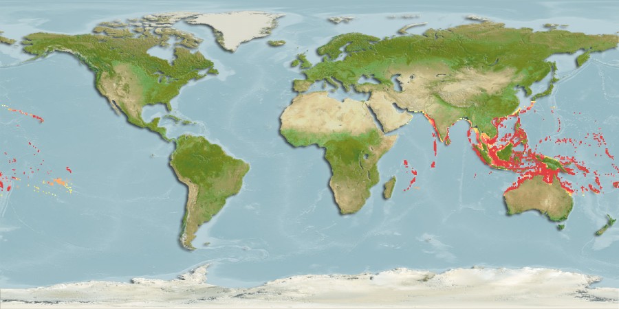 Aquamaps - Computer Generated Native Distribution Map for Acanthurus pyroferus