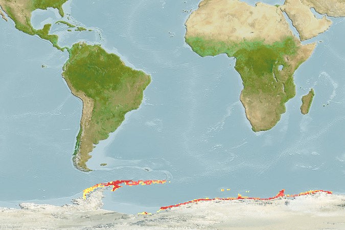 Aquamaps - Computer Generated Native Distribution Map for Chionobathyscus dewitti