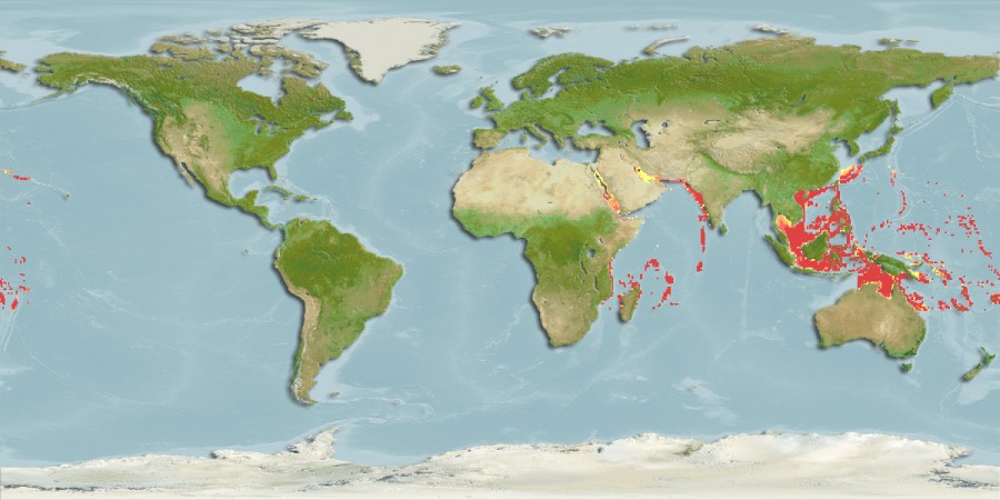 Aquamaps - Computer Generated Native Distribution Map for Uranoscopus sulphureus
