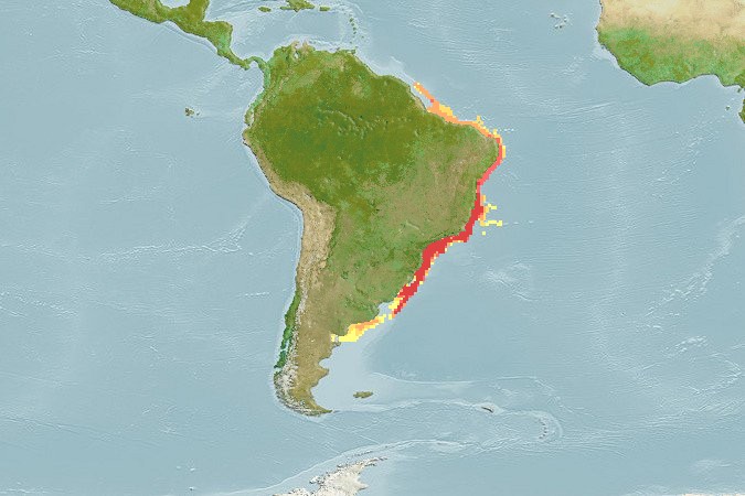 Aquamaps - Computer Generated Native Distribution Map for Lopholatilus villarii