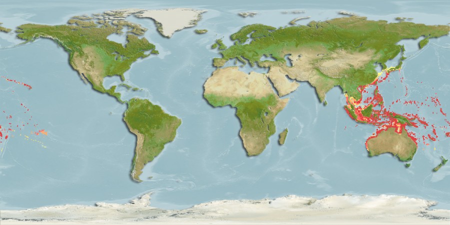 Aquamaps - Computer Generated Native Distribution Map for Coris gaimard