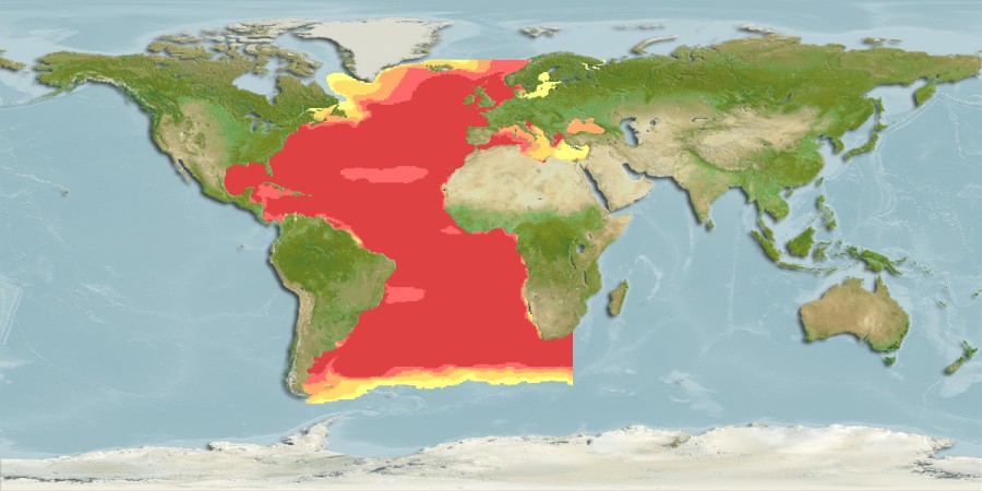 Aquamaps - Computer Generated Native Distribution Map for Thunnus thynnus