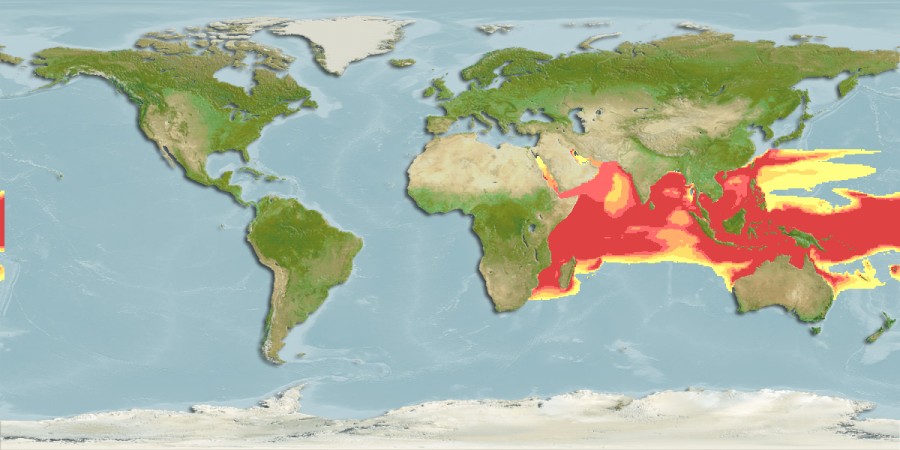 Aquamaps - Computer Generated Native Distribution Map for Parexocoetus mento