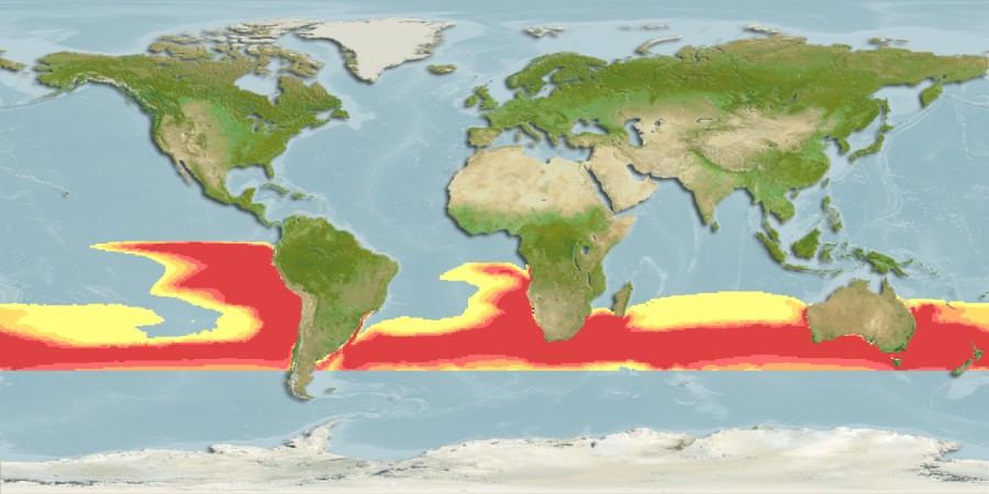 Aquamaps - Computer Generated Native Distribution Map for Schedophilus velaini