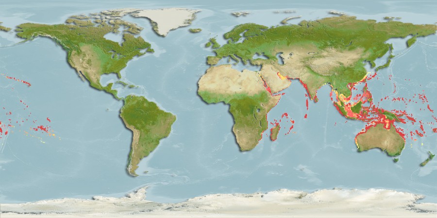 Aquamaps - Computer Generated Native Distribution Map for Chlorurus sordidus