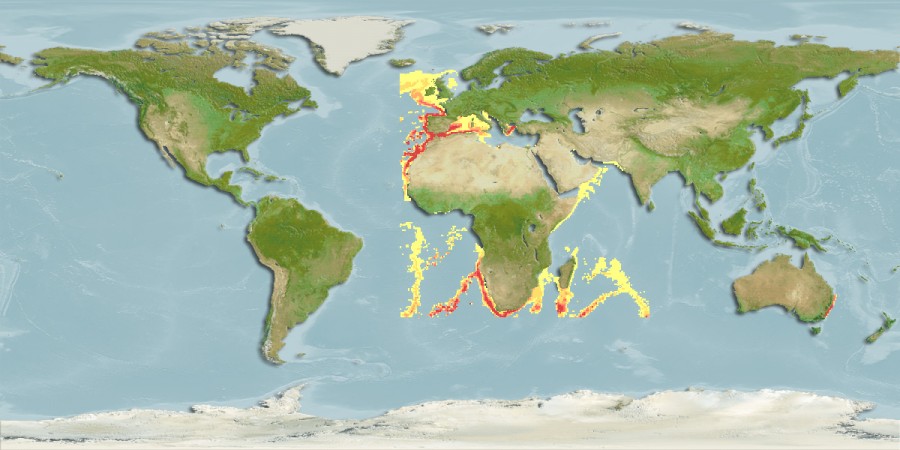 Aquamaps - Computer Generated Native Distribution Map for Funchalia woodwardi