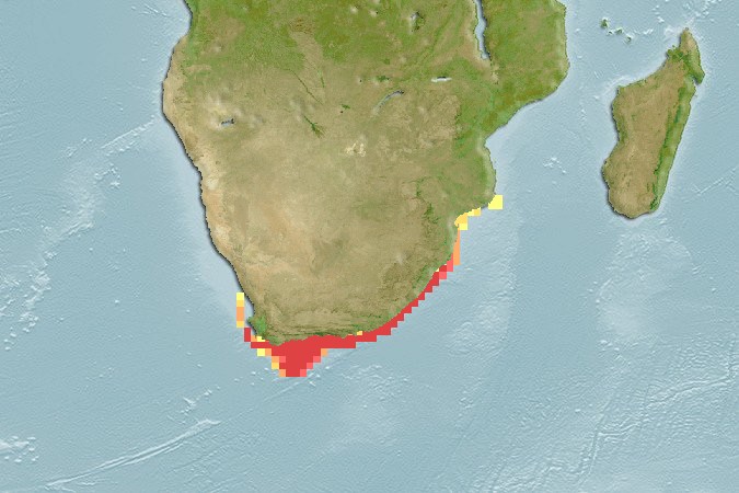 Aquamaps - Computer Generated Native Distribution Map for Palinurus gilchristi