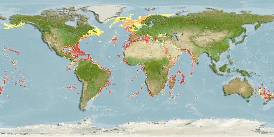 Aquamaps - Computer Generated Native Distribution Map for Funchalia villosa