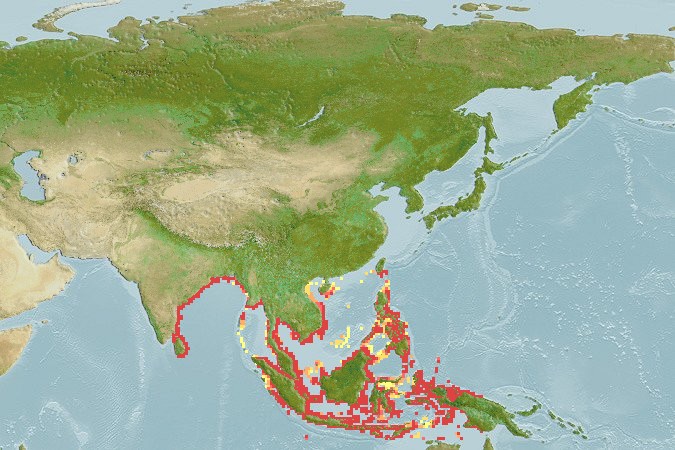 Aquamaps - Computer Generated Native Distribution Map for Metapenaeus lysianassa