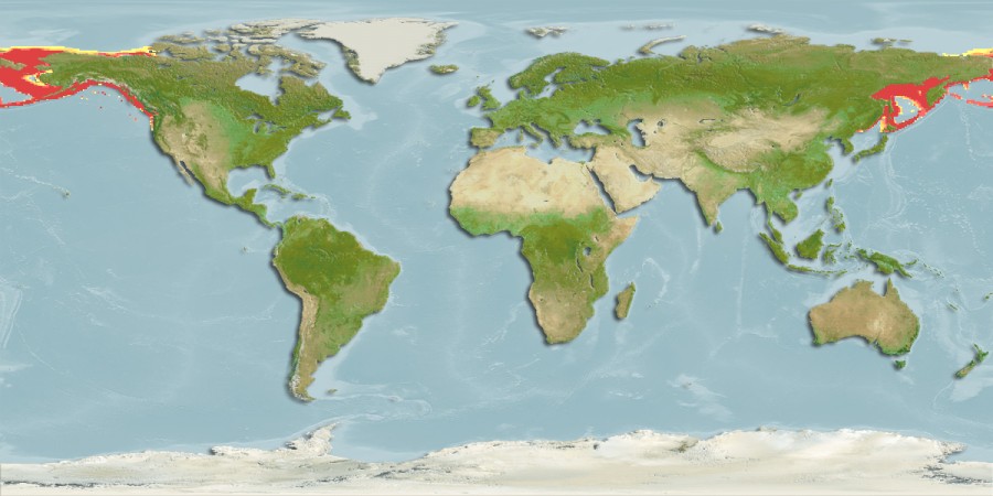 Aquamaps - Computer Generated Native Distribution Map for Pandalus goniurus